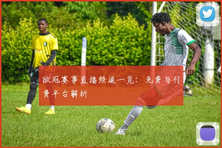 欧冠赛事直播频道一览:免费与付费平台解析