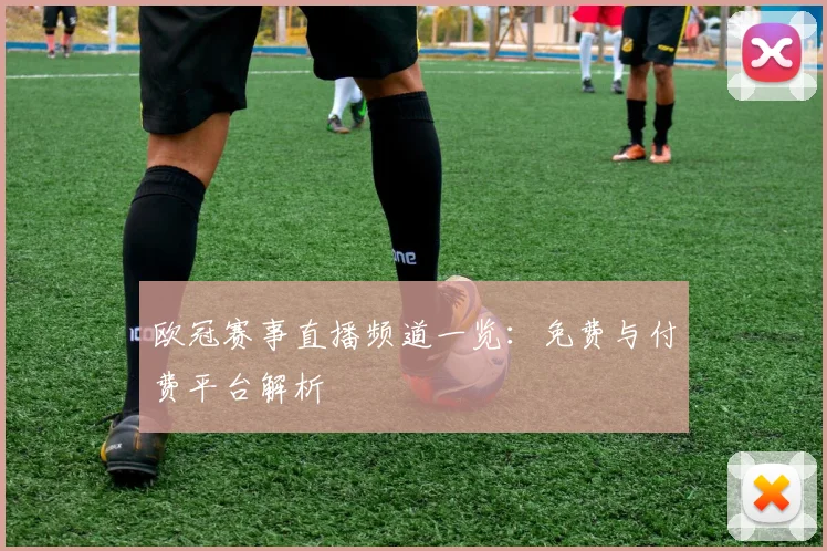 欧冠赛事直播频道一览：免费与付费平台解析