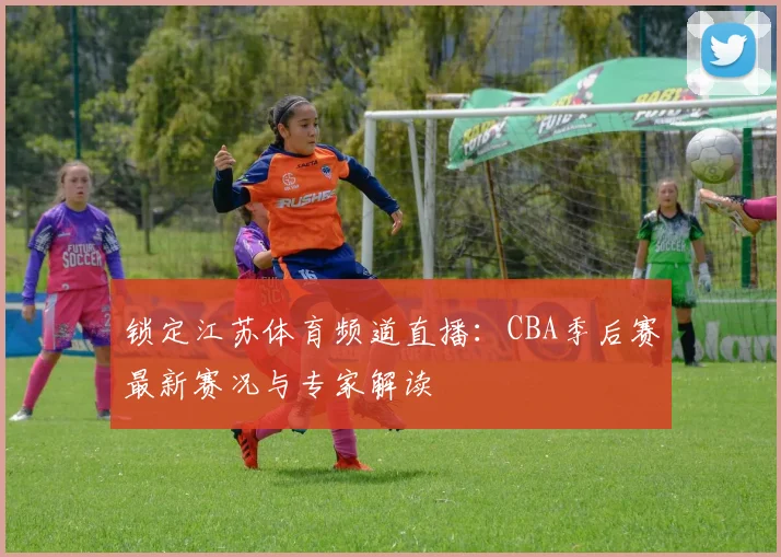 锁定江苏体育频道直播：CBA季后赛最新赛况与专家解读